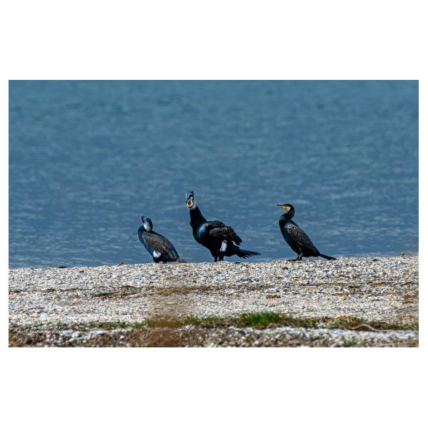 PHOTO84, CLUB, 84 , LUBERON